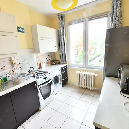 W Apartamencie Dwupokojowym Ze Wspoldzielona Kuchnia I Lazienka *