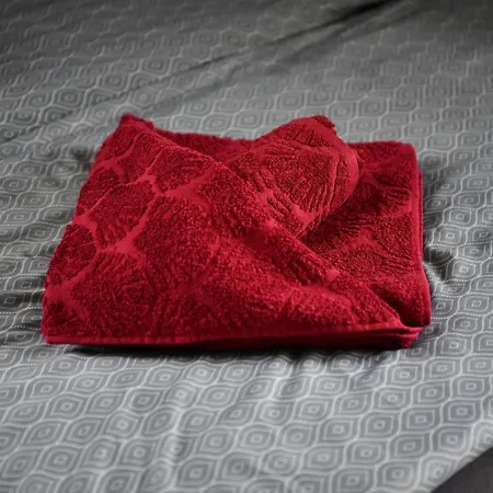 W Apartamencie Dwupokojowym Ze Wspoldzielona Kuchnia I Lazienka Γκντίνια