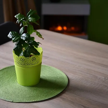 Δωμάτια σε οικογενειακή κατοικία W Apartamencie Dwupokojowym Ze Wspoldzielona Kuchnia I Lazienka