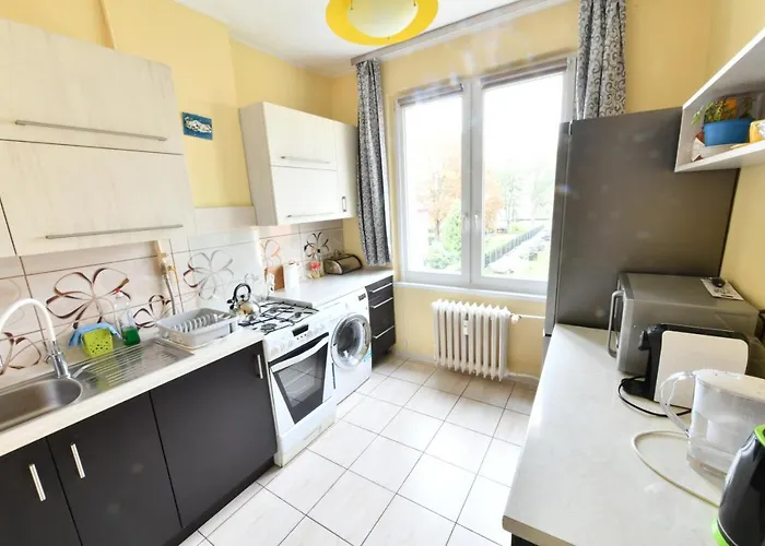 W Apartamencie Dwupokojowym Ze Wspoldzielona Kuchnia I Lazienka *