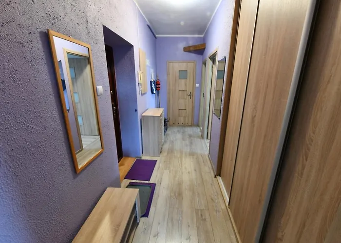 W Apartamencie Dwupokojowym Ze Wspoldzielona Kuchnia I Lazienka